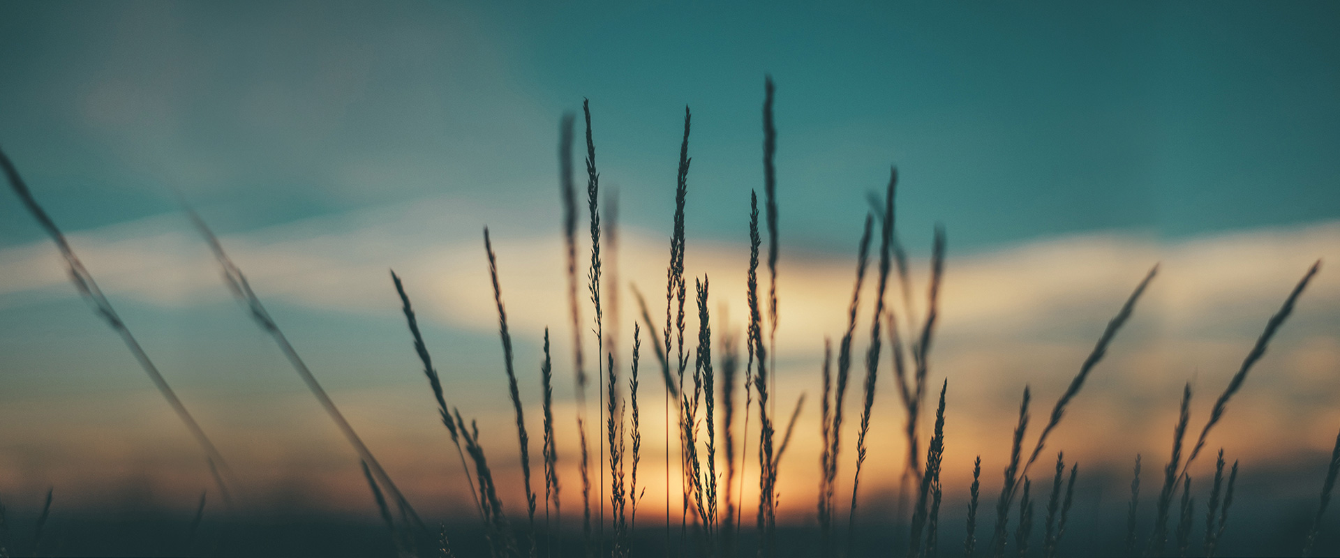 img-slider3