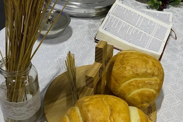 photo_2023-04-09_21-04-22