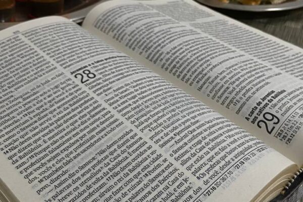 photo_2023-04-09_21-05-44